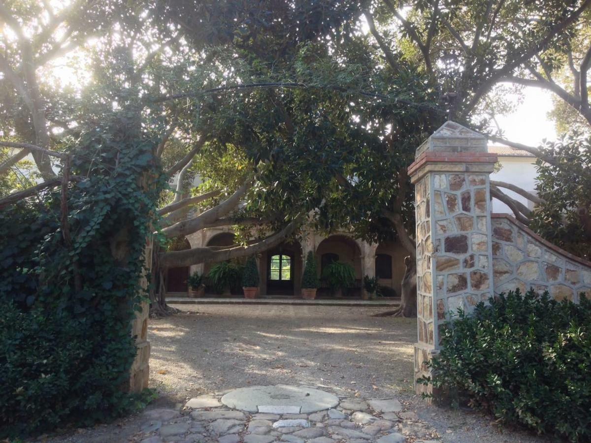 Suite A Villa D'Orri サッロク エクステリア 写真